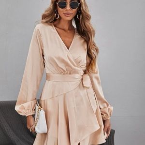 Lantern Sleeve Dress